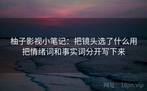 柚子影视小笔记：把镜头选了什么用把情绪词和事实词分开写下来